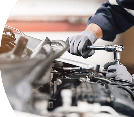 Body & Electronic System Warranty
