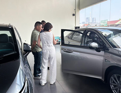 From 15 to 150 Vehicles: Overseas Dealer Expands Chinese EV Order