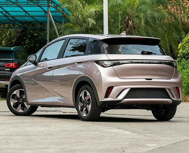 BYD RHD Dolphin