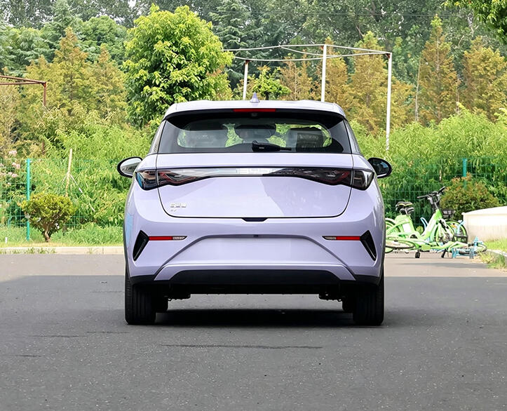 BYD RHD Dolphin