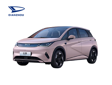 BYD RHD Dolphin