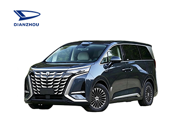 BYD RHD Denza D9