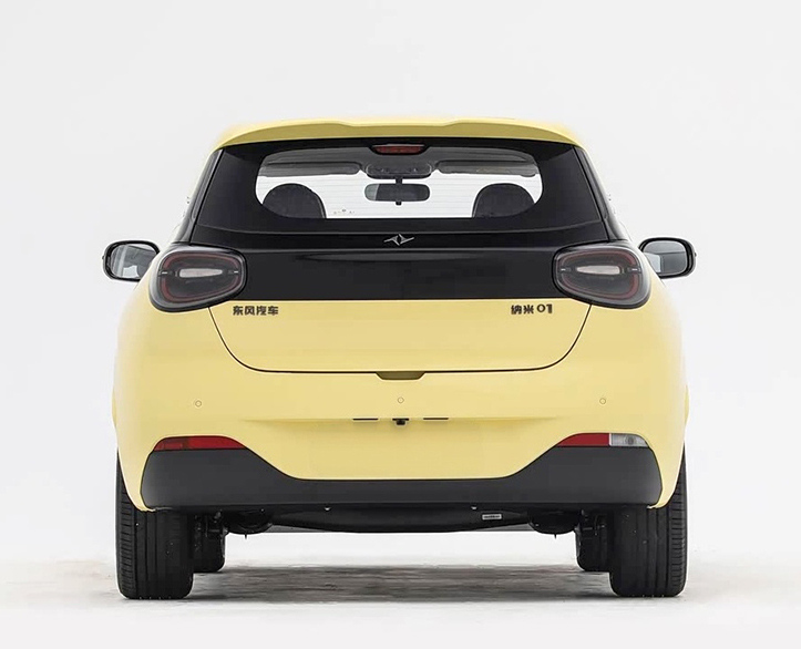 Dongfeng Nammi 01