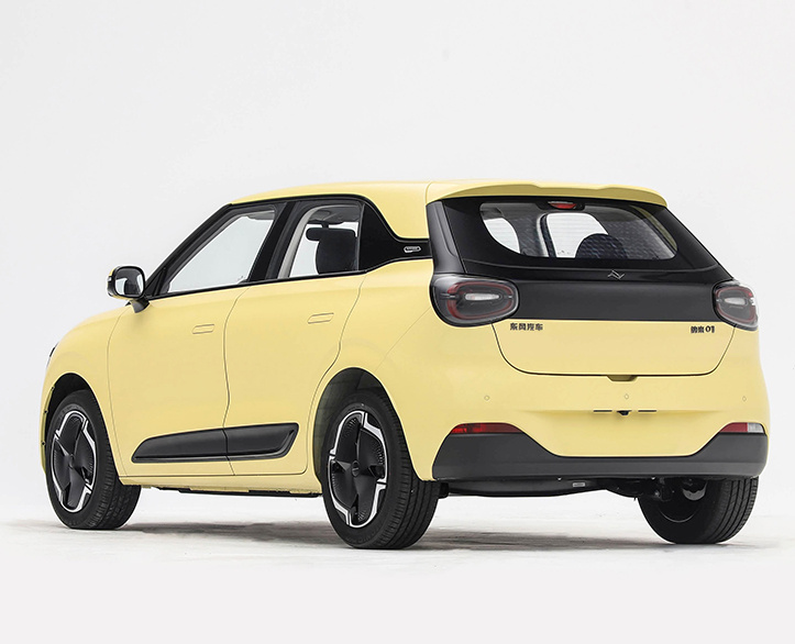 Dongfeng Nammi 01