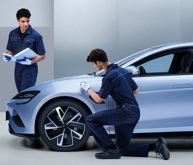 VI. Rigorous Vehicle Inspection to Guarantee Delivery Quality